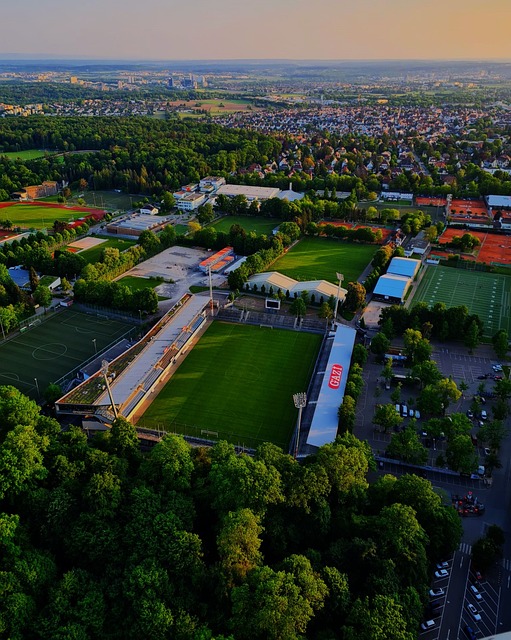 至上的策略 至上的策略