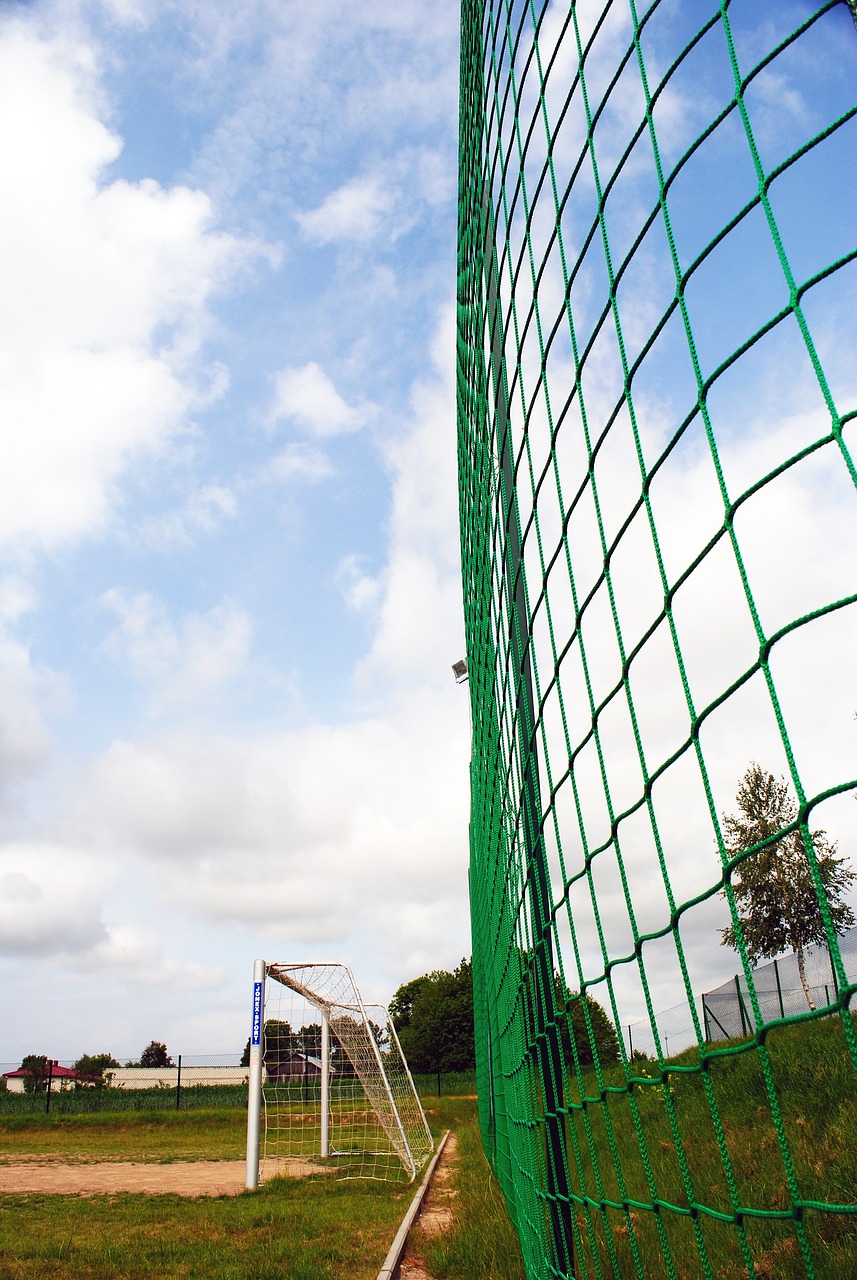 他很可能接 他很可能接